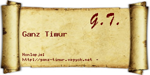 Ganz Timur névjegykártya